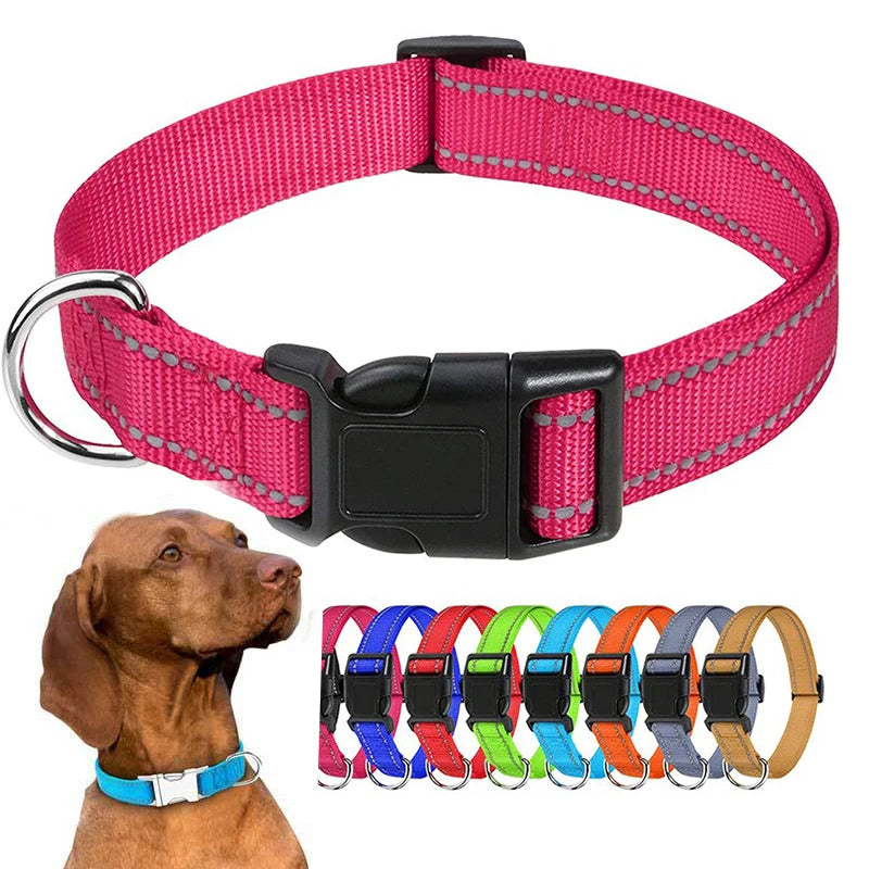 Nylon Dog Collar | Adjustable Buckle | Single or 2-Pack | Sizes XS–XL