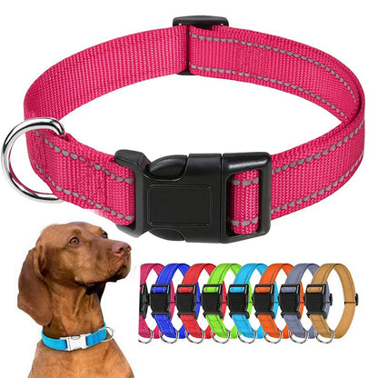 Nylon Dog Collar | Adjustable Buckle | Single or 2-Pack | Sizes XS–XL