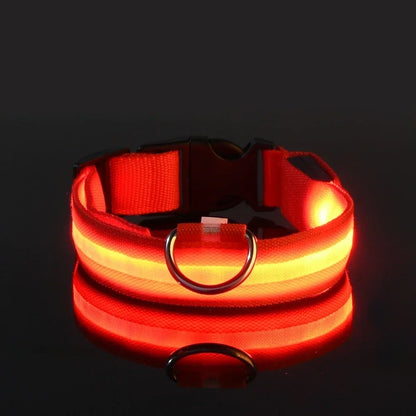 LED Glow Dog Collar | Nylon | Night Safety Flashing Light | Sizes XS–XL