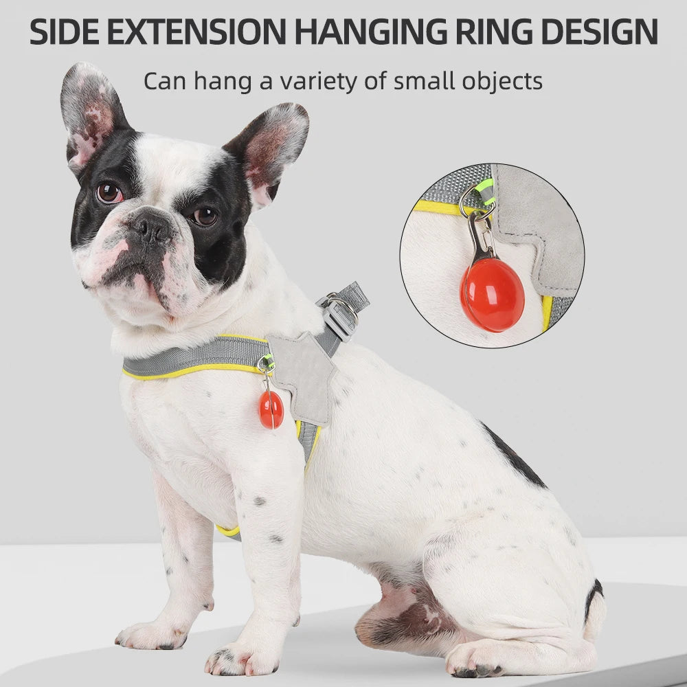 Reflective No-Pull Dog Harness | Vest Style for Small & Medium Dogs