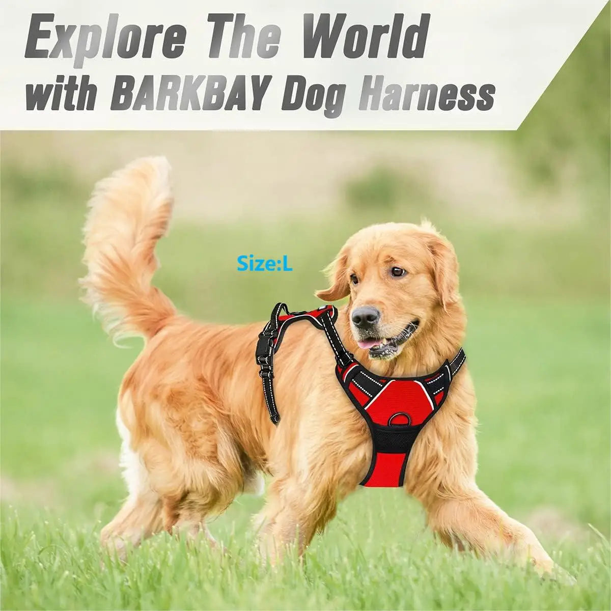 No-Pull Front Clip Dog Harness | Reflective | Handle | All Sizes