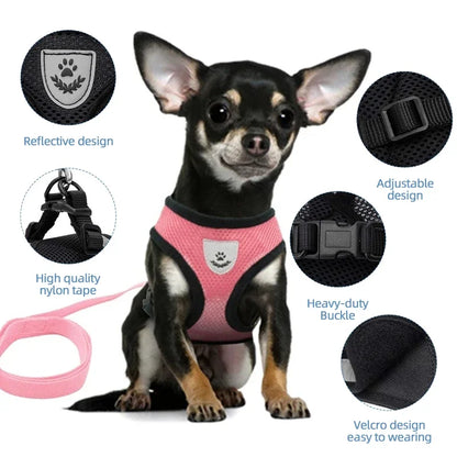 Breathable Mesh Small Dog & Cat Harness with Leash | Reflective | Sizes S–XL