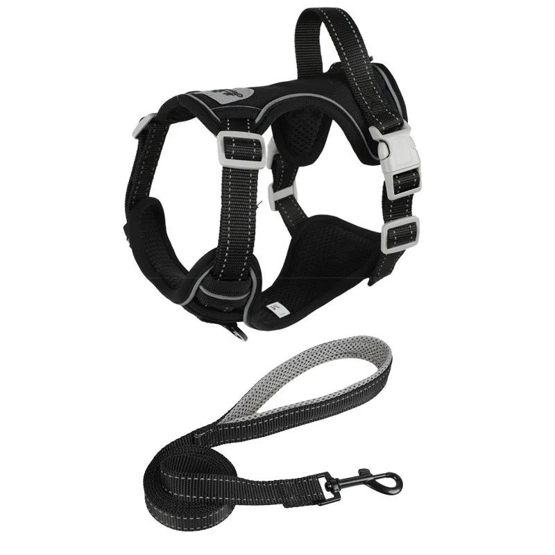 Small Dog & Cat Harness with Leash | Adjustable Vest | Chihuahua, Pug, French Bulldog | S–L