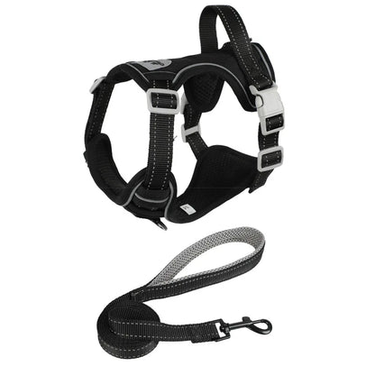 Small Dog & Cat Harness with Leash | Adjustable Vest | Chihuahua, Pug, French Bulldog | S–L