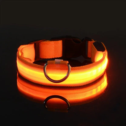 LED Glow Dog Collar | Nylon | Night Safety Flashing Light | Sizes XS–XL