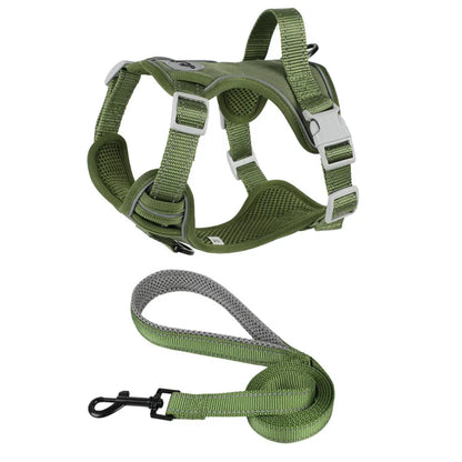 Small Dog & Cat Harness with Leash | Adjustable Vest | Chihuahua, Pug, French Bulldog | S–L