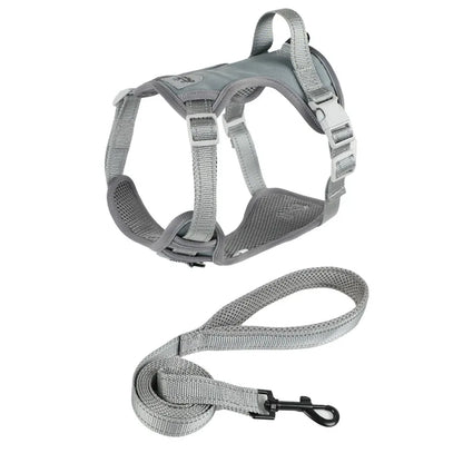 Small Dog & Cat Harness with Leash | Adjustable Vest | Chihuahua, Pug, French Bulldog | S–L