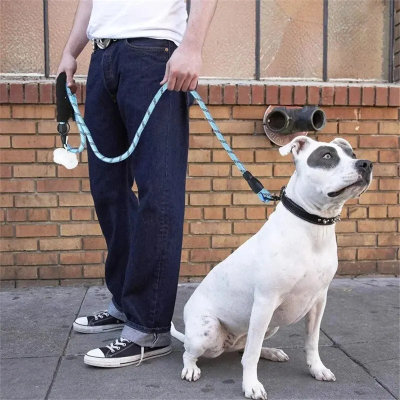 Reflective Dog Leash With Comfortable Padded Handle - Double Heavy Duty Traction Rope For Strong Dogs - Enhance Safety and Control
