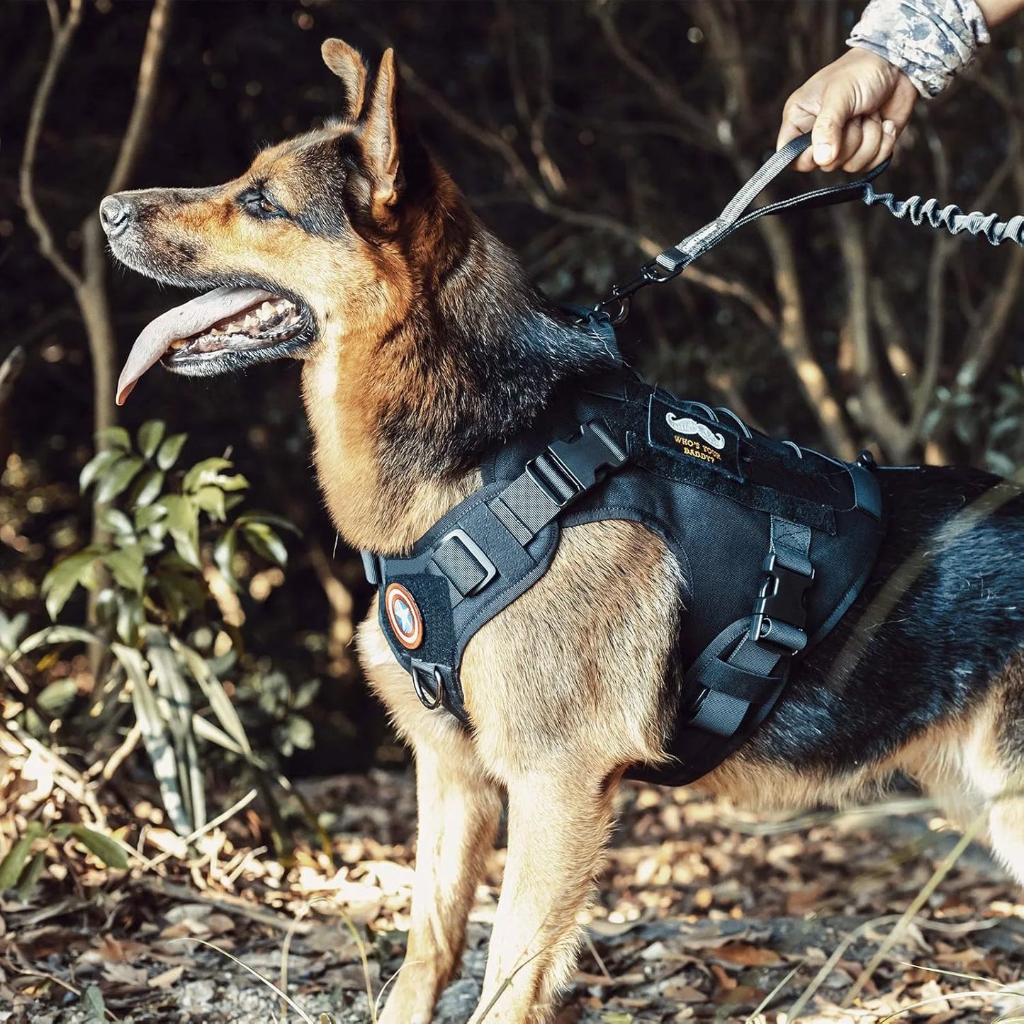 Tactical Dog Harness | No-Pull | Handle | Hook & Loop Panels | Sizes S–XL