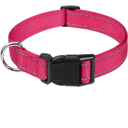 Nylon Dog Collar | Adjustable Buckle | Single or 2-Pack | Sizes XS–XL