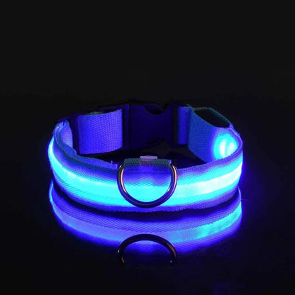 LED Glow Dog Collar | Nylon | Night Safety Flashing Light | Sizes XS–XL
