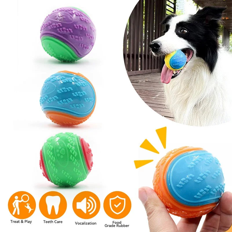 Squeaky TPR Dental Dog Ball | Bite-Resistant | Teeth Cleaning | Blue, Purple & Green