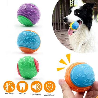 Squeaky TPR Dental Dog Ball | Bite-Resistant | Teeth Cleaning | Blue, Purple & Green