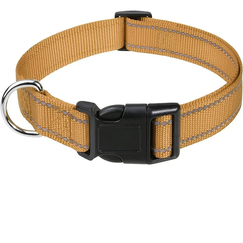 Nylon Dog Collar | Adjustable Buckle | Single or 2-Pack | Sizes XS–XL
