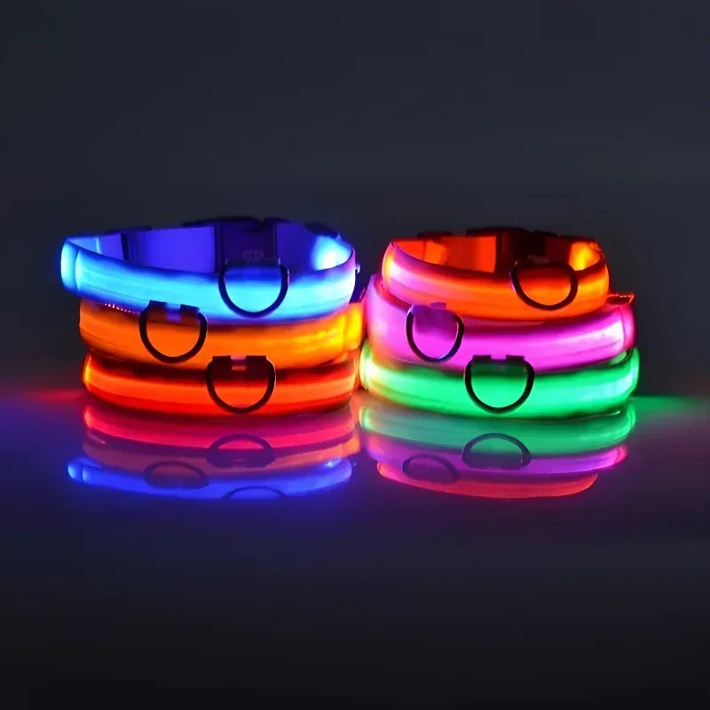 LED Glow Dog Collar | Nylon | Night Safety Flashing Light | Sizes XS–XL