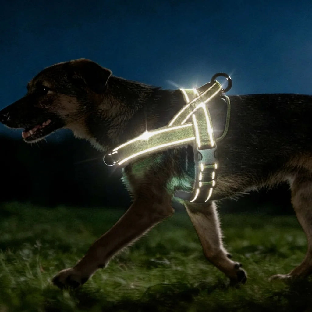 Tactical No-Pull Dog Harness | Heavy-Duty | Reflective | Large Breeds | Sizes S–XL