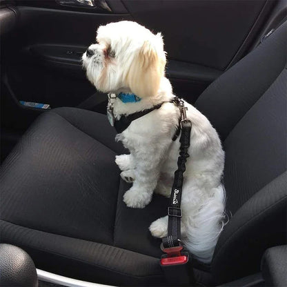 Dog Car Safety Seat Belt