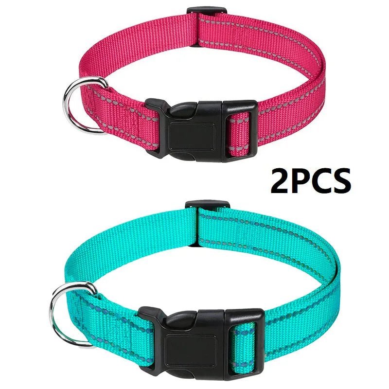 Nylon Dog Collar | Adjustable Buckle | Single or 2-Pack | Sizes XS–XL