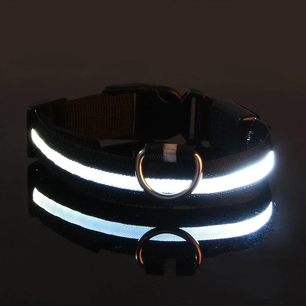 LED Glow Dog Collar | Nylon | Night Safety Flashing Light | Sizes XS–XL