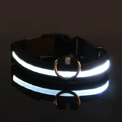 LED Glow Dog Collar | Nylon | Night Safety Flashing Light | Sizes XS–XL