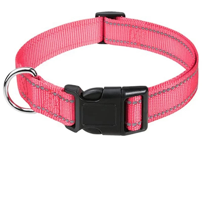Nylon Dog Collar | Adjustable Buckle | Single or 2-Pack | Sizes XS–XL