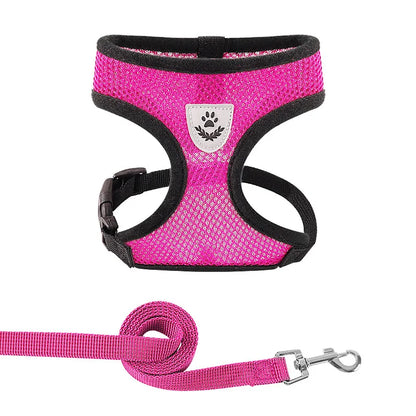 Breathable Mesh Small Dog & Cat Harness with Leash | Reflective | Sizes S–XL