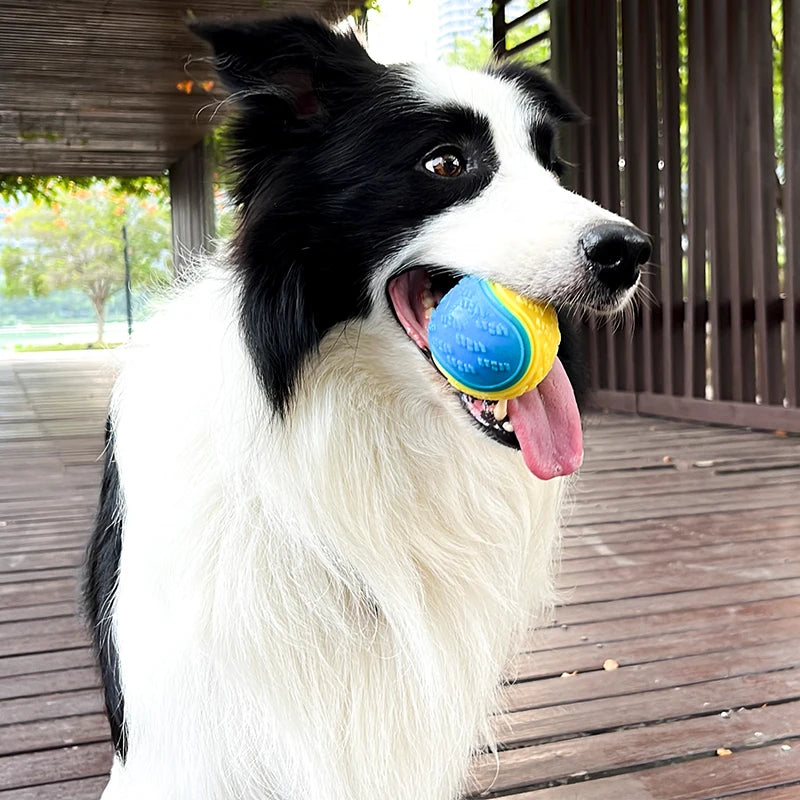 Squeaky TPR Dental Dog Ball | Bite-Resistant | Teeth Cleaning | Blue, Purple & Green