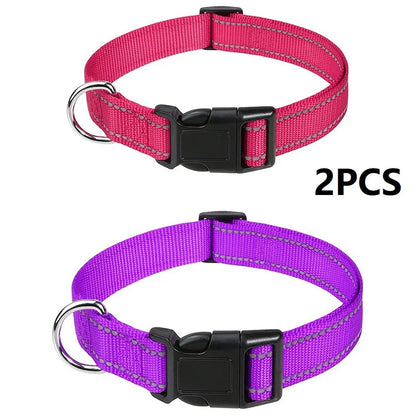 Nylon Dog Collar | Adjustable Buckle | Single or 2-Pack | Sizes XS–XL
