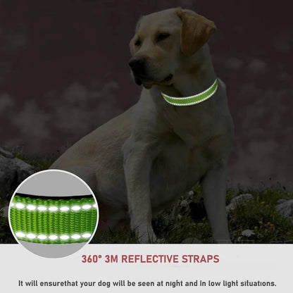 Nylon Dog Collar | Adjustable Buckle | Single or 2-Pack | Sizes XS–XL