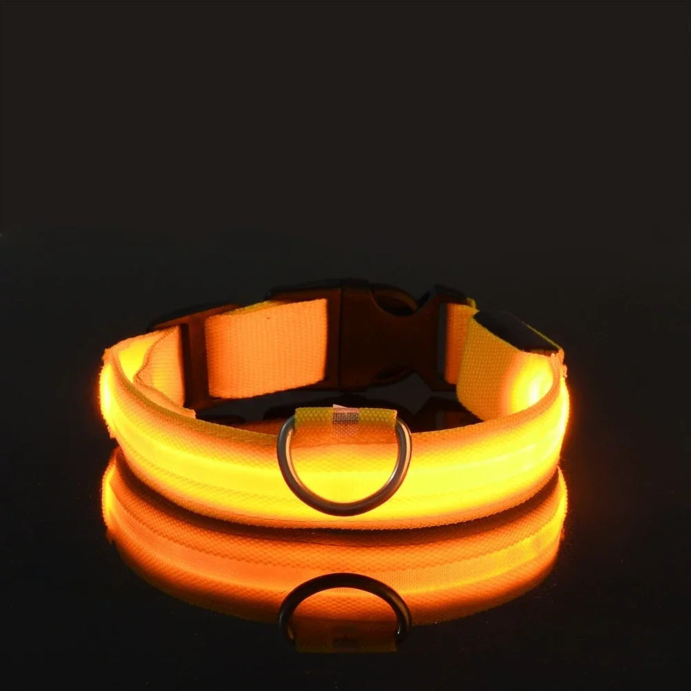 LED Glow Dog Collar | Nylon | Night Safety Flashing Light | Sizes XS–XL