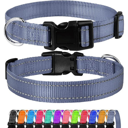 Nylon Dog Collar | Adjustable Buckle | Single or 2-Pack | Sizes XS–XL