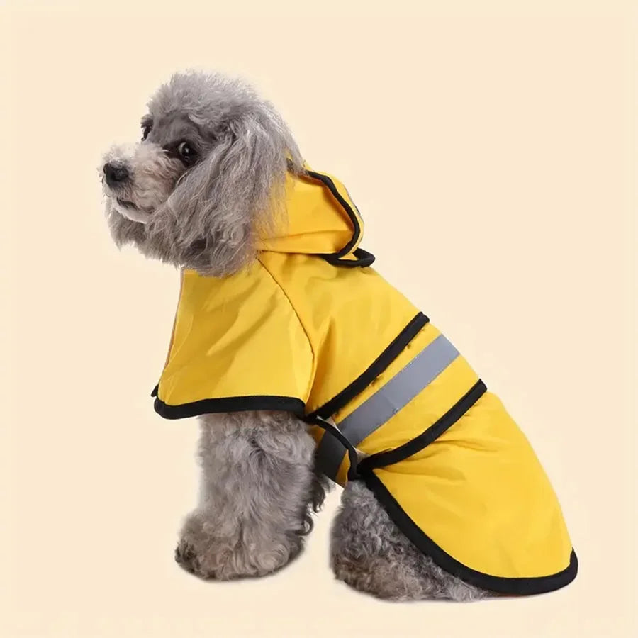 Waterproof & Windproof Dog Raincoat | Sizes XS–4XL | Blue & Yellow