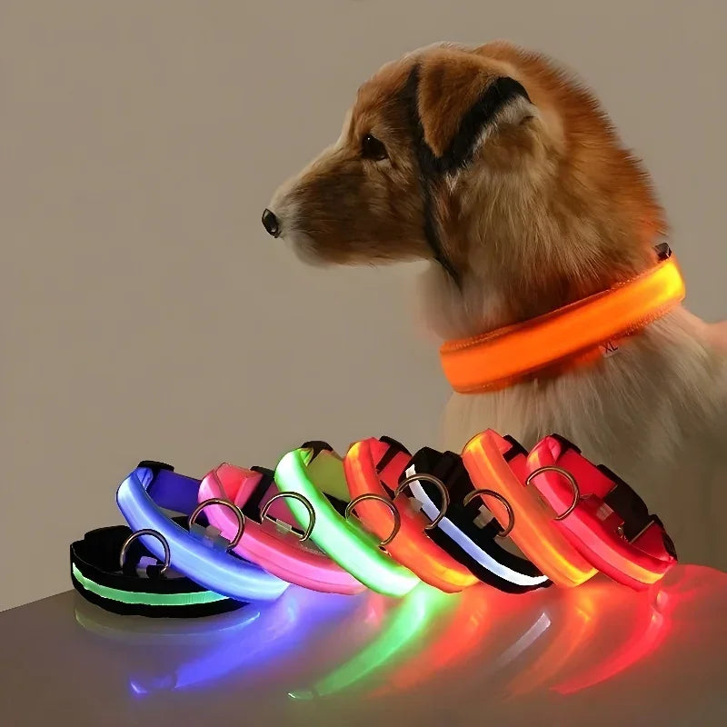 LED Glow Dog Collar | Nylon | Night Safety Flashing Light | Sizes XS–XL