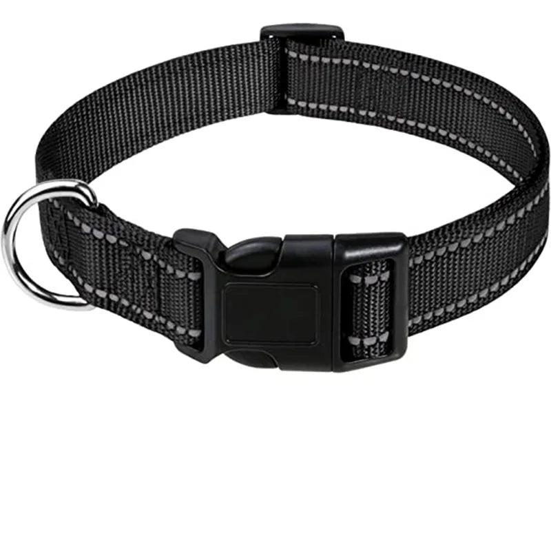 Nylon Dog Collar | Adjustable Buckle | Single or 2-Pack | Sizes XS–XL