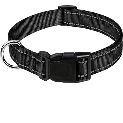 Nylon Dog Collar | Adjustable Buckle | Single or 2-Pack | Sizes XS–XL