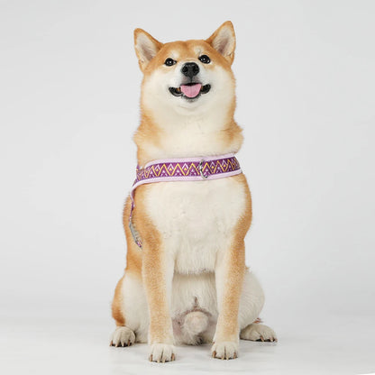 Fashion Printed Dog Harness | Soft Padded No-Pull Vest | Handle | Sizes S–XL