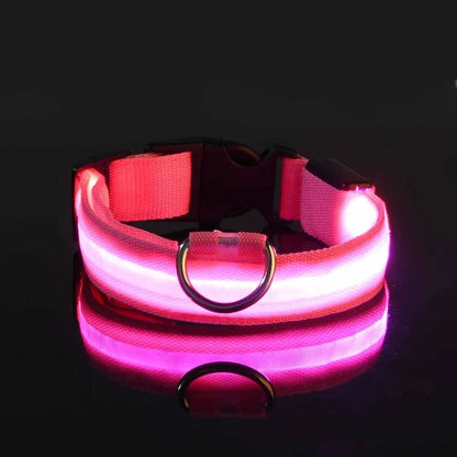 LED Glow Dog Collar | Nylon | Night Safety Flashing Light | Sizes XS–XL