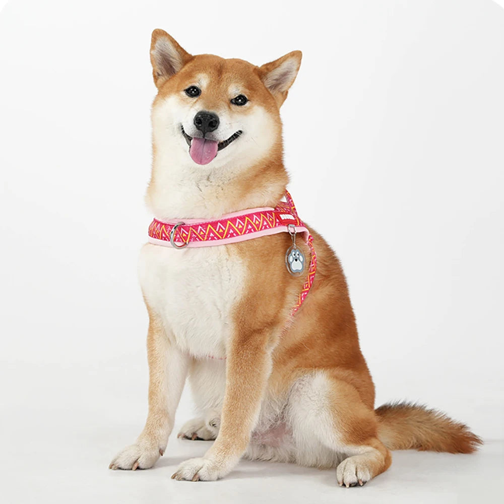 Fashion Printed Dog Harness | Soft Padded No-Pull Vest | Handle | Sizes S–XL