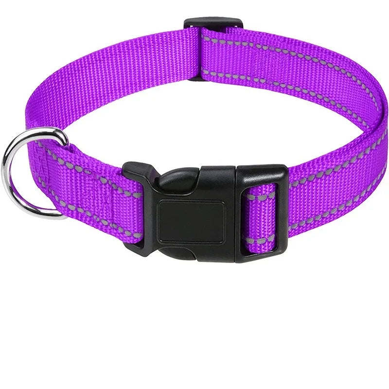 Nylon Dog Collar | Adjustable Buckle | Single or 2-Pack | Sizes XS–XL
