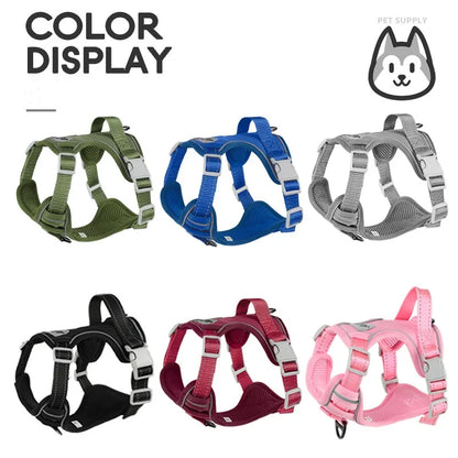 Small Dog & Cat Harness with Leash | Adjustable Vest | Chihuahua, Pug, French Bulldog | S–L