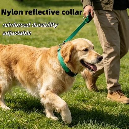 Reflective Safety Dog Collar | Anti-Strangulation | Small & Medium Dogs