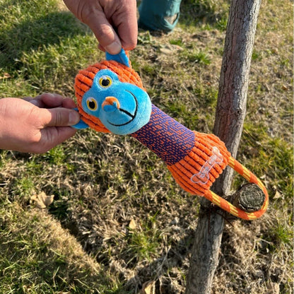 Squeaky Corduroy Animal Dog Toy | Bite-Resistant Plush | Frog, Hippo, Monkey & Elephant