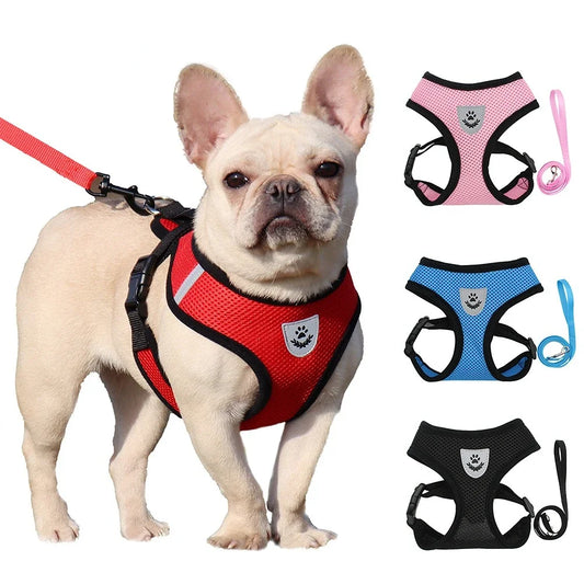 Breathable Mesh Small Dog & Cat Harness with Leash | Reflective | Sizes S–XL