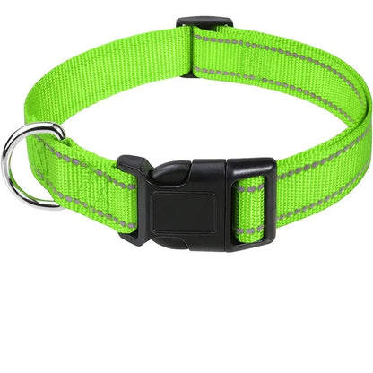 Nylon Dog Collar | Adjustable Buckle | Single or 2-Pack | Sizes XS–XL