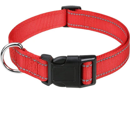 Nylon Dog Collar | Adjustable Buckle | Single or 2-Pack | Sizes XS–XL