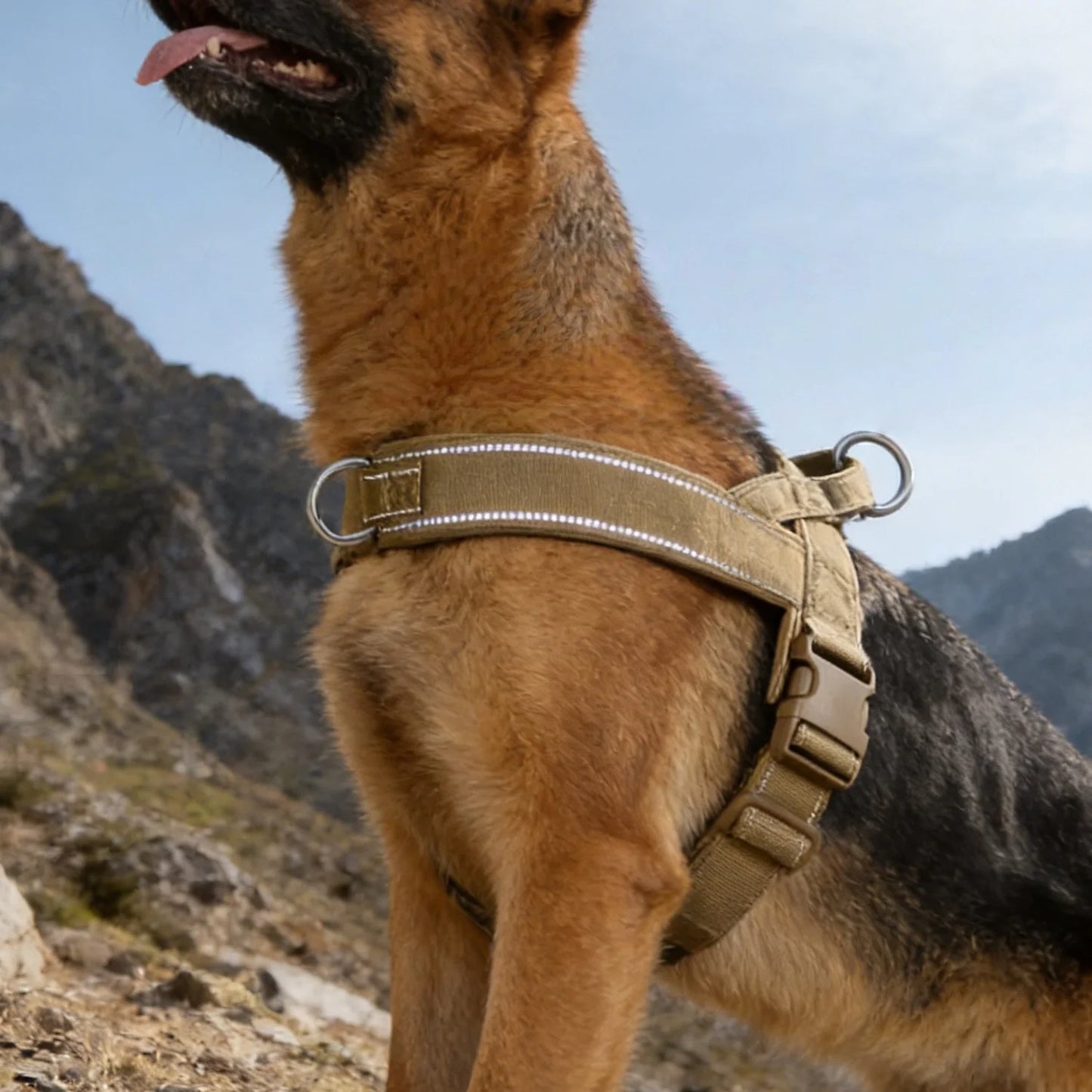 Tactical No-Pull Dog Harness | Heavy-Duty | Reflective | Large Breeds | Sizes S–XL