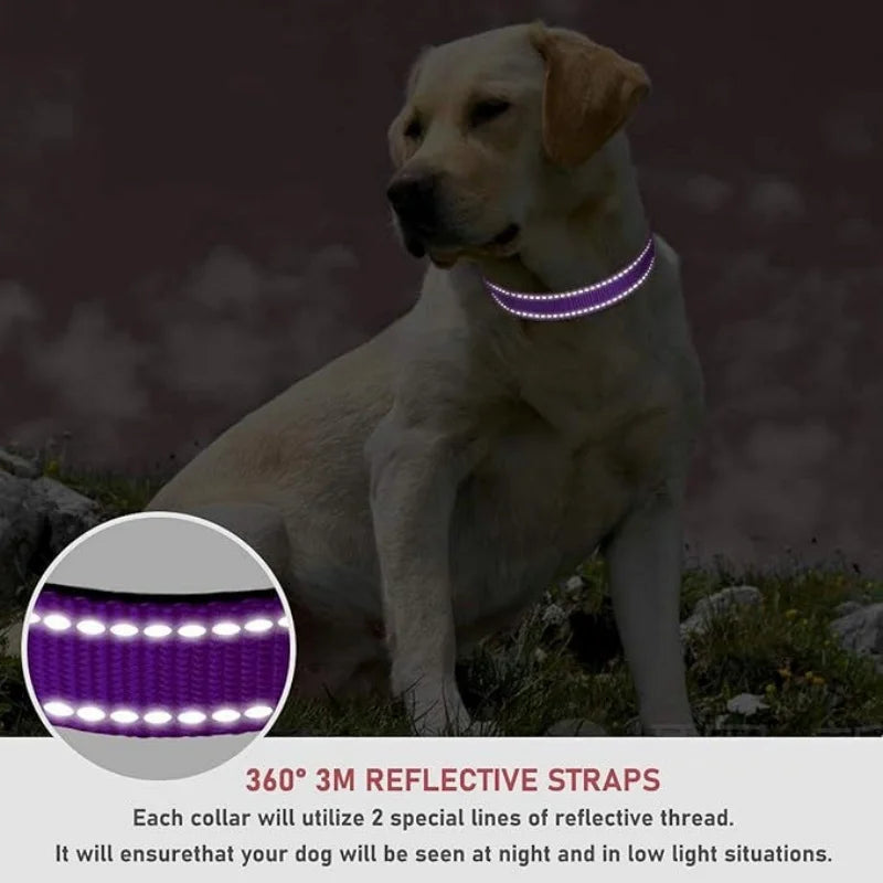 Reflective Safety Dog Collar | Anti-Strangulation | Small & Medium Dogs