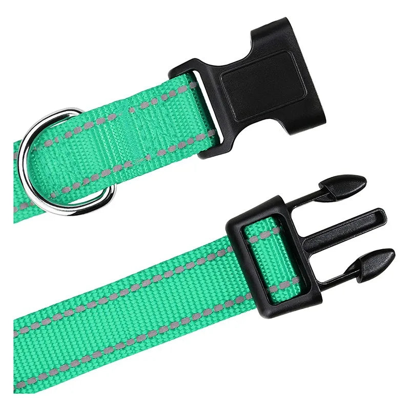 Nylon Dog Collar | Adjustable Buckle | Single or 2-Pack | Sizes XS–XL