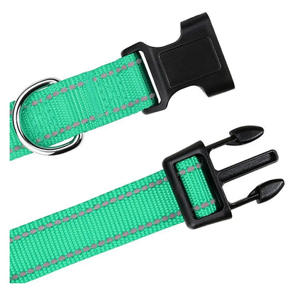 Nylon Dog Collar | Adjustable Buckle | Single or 2-Pack | Sizes XS–XL