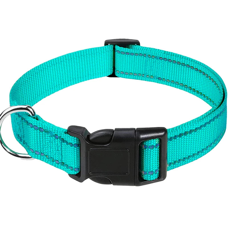 Nylon Dog Collar | Adjustable Buckle | Single or 2-Pack | Sizes XS–XL